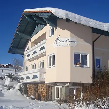 Alpenblume Daire Schladming