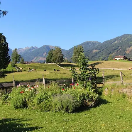 Alpenblume * Шладмінг