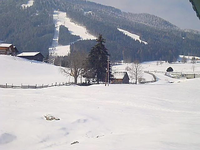 Alpenblume * Schladming